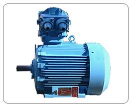 Kirloskar - Electric : AC Motor